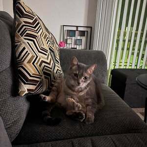 Meet your Posher, Cindy